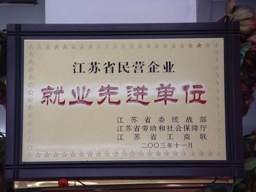   江苏省民营企业就业先进单位 